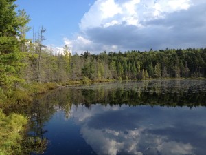 Helldiver Pond late in the day at Moose River Plains.  Photograph taken on August 29, 2013.